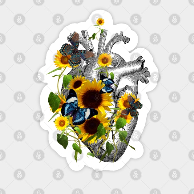 Sunflowers Heart Human Anatomy And Blue Butterflies Human Heart Sticker Teepublic 6683